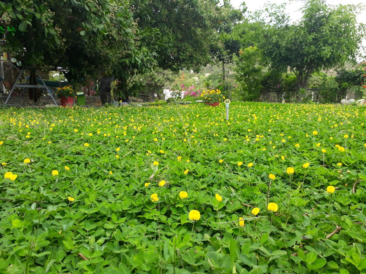 Dao Hoa Vang Villa Cam Ranh Bagian luar foto