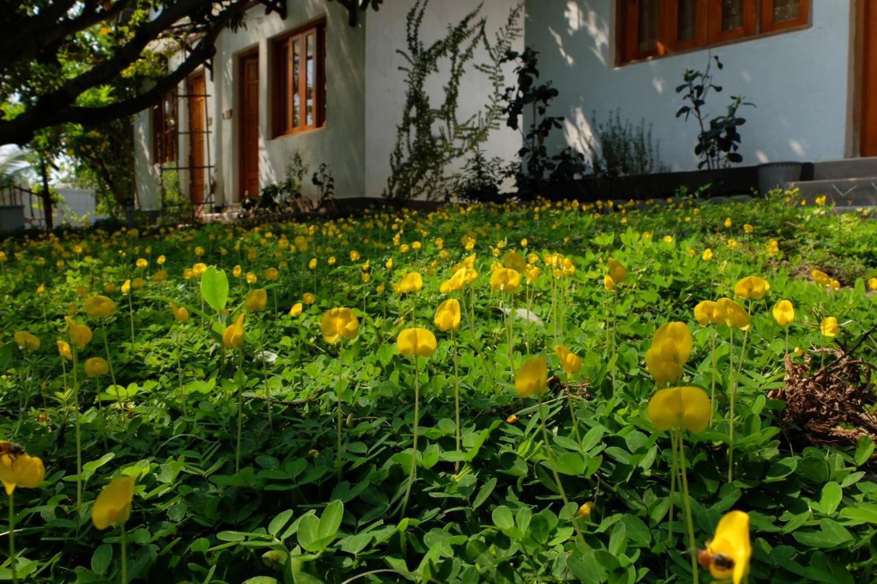 Dao Hoa Vang Villa Cam Ranh Bagian luar foto