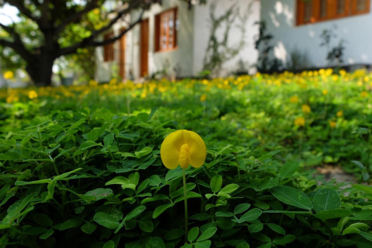 Dao Hoa Vang Villa Cam Ranh Bagian luar foto