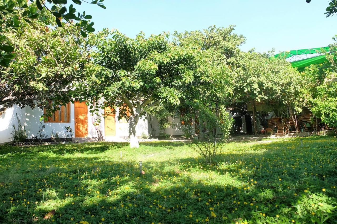 Dao Hoa Vang Villa Cam Ranh Bagian luar foto